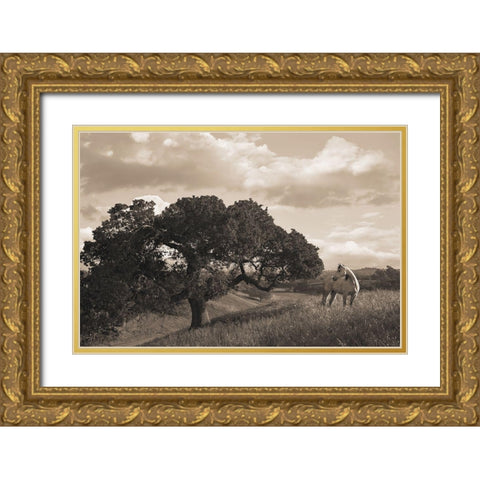 California Evening Gold Ornate Wood Framed Art Print with Double Matting by Dawson, Robert