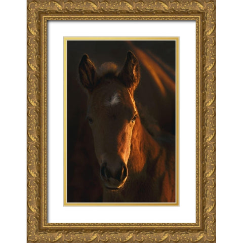 Little Miss Gold Ornate Wood Framed Art Print with Double Matting by Dawson, Robert