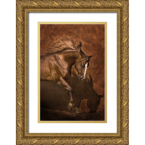 Horse Dancer Gold Ornate Wood Framed Art Print with Double Matting by Dawson, Robert