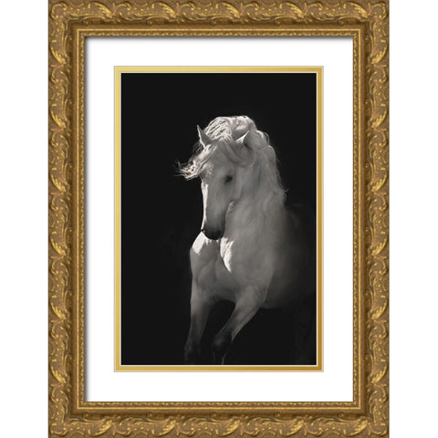 Into the Light Gold Ornate Wood Framed Art Print with Double Matting by Dawson, Robert
