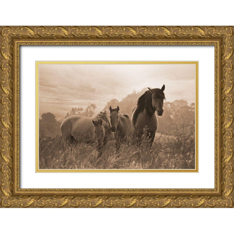 One Spring Morning Gold Ornate Wood Framed Art Print with Double Matting by Dawson, Robert