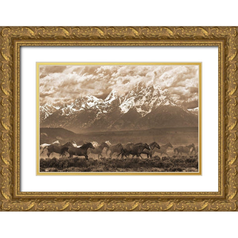 Racing the Storm I Gold Ornate Wood Framed Art Print with Double Matting by Dawson, Robert