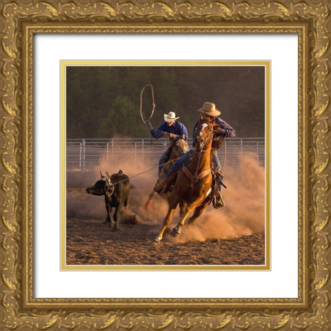 Roping on the Ranch III Gold Ornate Wood Framed Art Print with Double Matting by Dawson, Robert