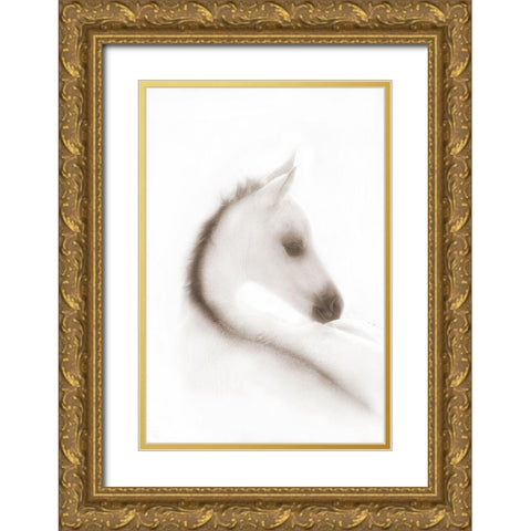 Snow White Gold Ornate Wood Framed Art Print with Double Matting by Dawson, Robert