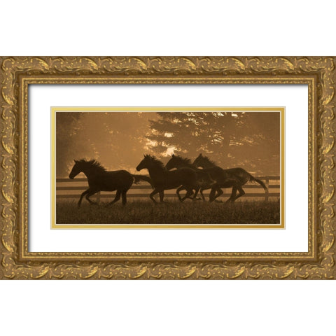 Running For Home II Gold Ornate Wood Framed Art Print with Double Matting by Dawson, Robert