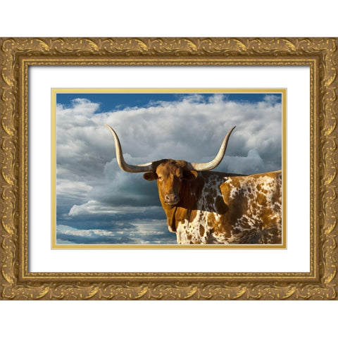 Texas Longhorn ~ Color Gold Ornate Wood Framed Art Print with Double Matting by Dawson, Robert