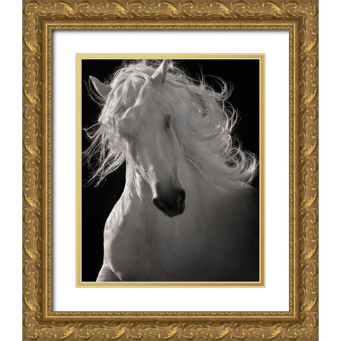 The Lusitano Dancer Gold Ornate Wood Framed Art Print with Double Matting by Dawson, Robert