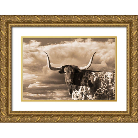 Texas Longhorn ~ Sepia Gold Ornate Wood Framed Art Print with Double Matting by Dawson, Robert
