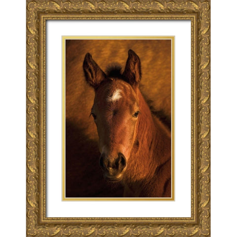 Whats Up Gold Ornate Wood Framed Art Print with Double Matting by Dawson, Robert