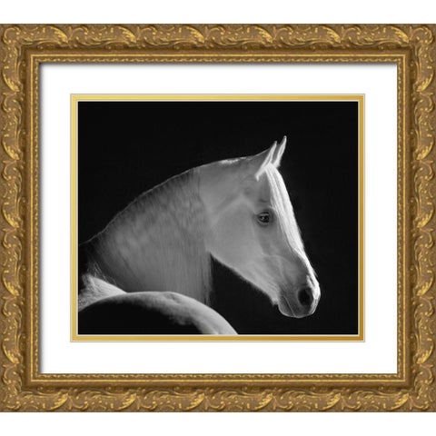 White Shadow Gold Ornate Wood Framed Art Print with Double Matting by Dawson, Robert