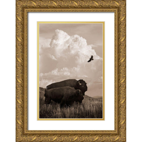 The American Buffalo Gold Ornate Wood Framed Art Print with Double Matting by Dawson, Robert