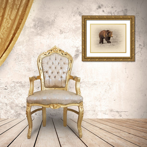 Grizzly 2 Gold Ornate Wood Framed Art Print with Double Matting by Brown, Jim