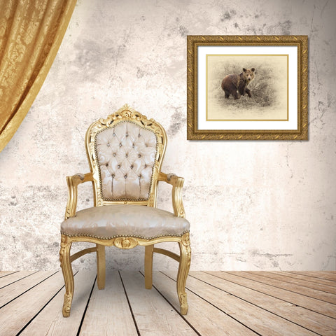 Grizzly Cub 2 Gold Ornate Wood Framed Art Print with Double Matting by Brown, Jim