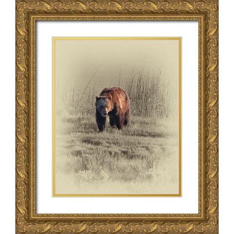Grizzly Gold Ornate Wood Framed Art Print with Double Matting by Brown, Jim