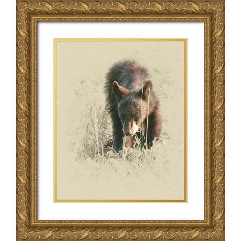 Young Black Bear Gold Ornate Wood Framed Art Print with Double Matting by Brown, Jim