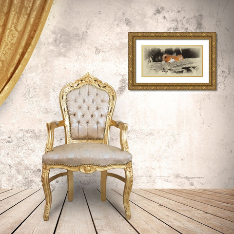 Sleeping Squirrel Gold Ornate Wood Framed Art Print with Double Matting by Brown, Jim