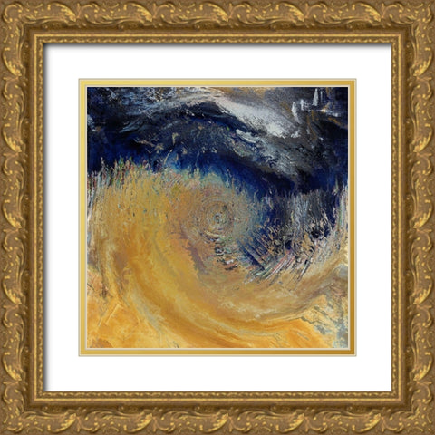 Starry Night Gold Ornate Wood Framed Art Print with Double Matting by Bolokofsky, Ronald