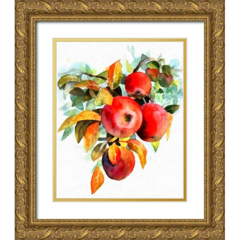 Apples Gold Ornate Wood Framed Art Print with Double Matting by Bolokofsky, Ronald