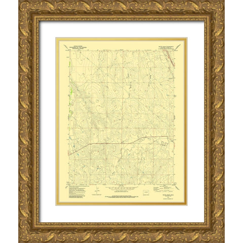 Beuck Draw Colorado Quad- USGS 1970 Gold Ornate Wood Framed Art Print with Double Matting by USGS