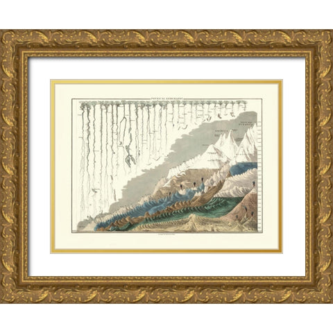 Physical Geography World - Black Gold Ornate Wood Framed Art Print with Double Matting by Black