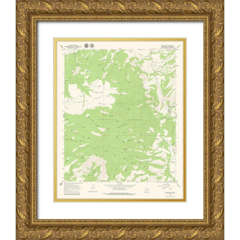 Glenwood New Mexico Quad - USGS 1965 Gold Ornate Wood Framed Art Print with Double Matting by USGS