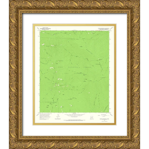Grouse Mountain New Mexico Quad - USGS 1965 Gold Ornate Wood Framed Art Print with Double Matting by USGS