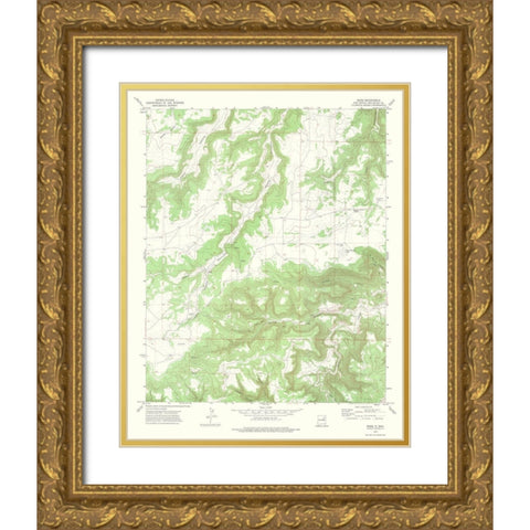 Maes New Mexico Quad - USGS 1972 Gold Ornate Wood Framed Art Print with Double Matting by USGS