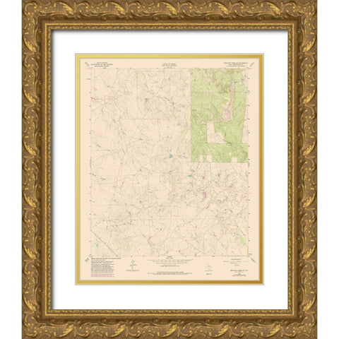 South East Antelope Creek Texas Quad - USGS 1962 Gold Ornate Wood Framed Art Print with Double Matting by USGS
