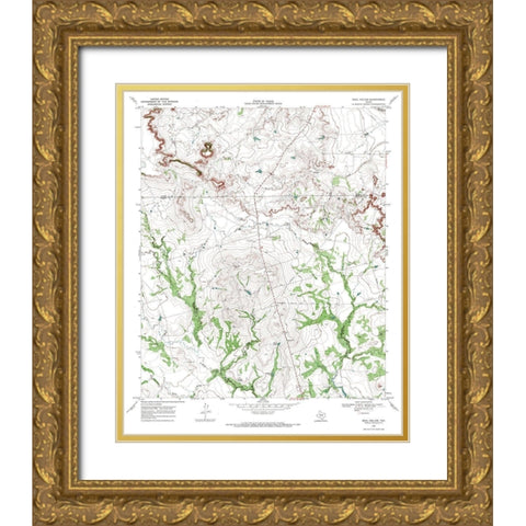 Beal Hollow Texas Quad - USGS 1969 Gold Ornate Wood Framed Art Print with Double Matting by USGS