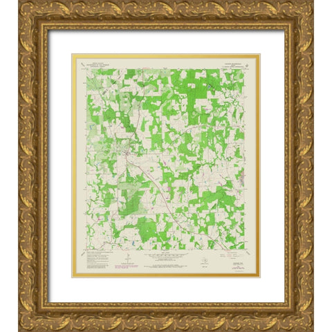 Cistern Texas Quad - USGS 1981 Gold Ornate Wood Framed Art Print with Double Matting by USGS