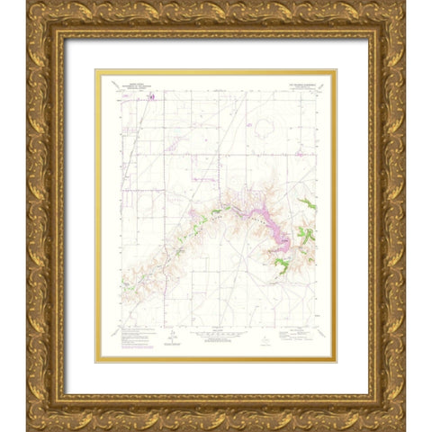 Palisades Texas Quad - USGS 1975 Gold Ornate Wood Framed Art Print with Double Matting by USGS