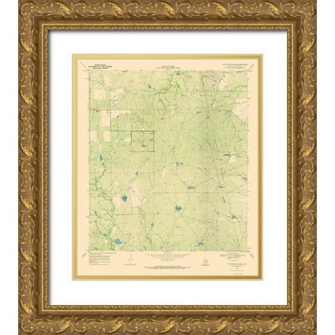 White Kitchen Texas Quad - USGS 1969 Gold Ornate Wood Framed Art Print with Double Matting by USGS