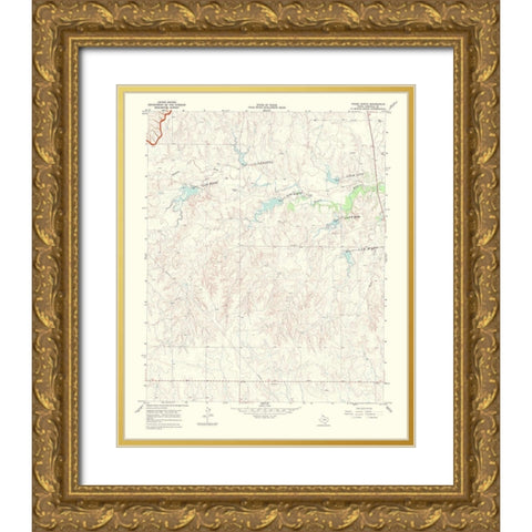Young Ranch Texas Quad - USGS 1969 Gold Ornate Wood Framed Art Print with Double Matting by USGS