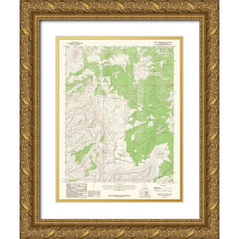 Horse Pasture Mesa Utah Quad - USGS 1987 Gold Ornate Wood Framed Art Print with Double Matting by USGS