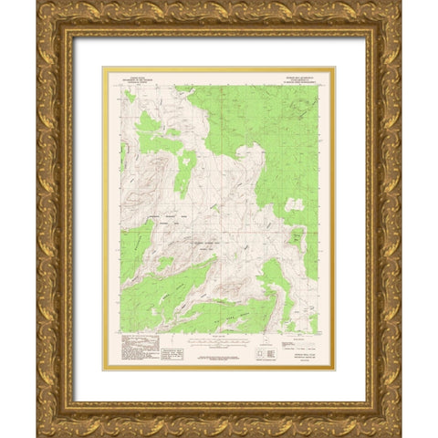 Pioneer Mesa Utah Quad - USGS 1987 Gold Ornate Wood Framed Art Print with Double Matting by USGS