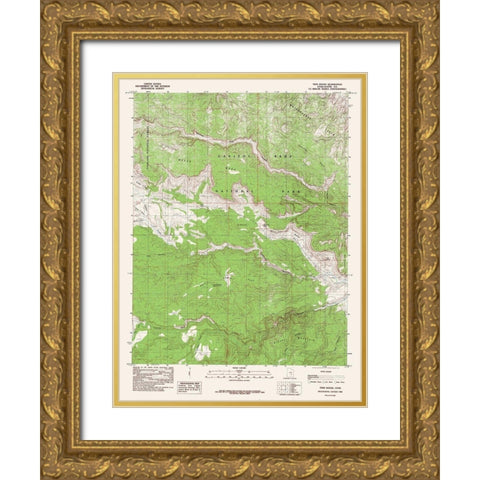Twin Rocks Utah Quad - USGS 1985 Gold Ornate Wood Framed Art Print with Double Matting by USGS