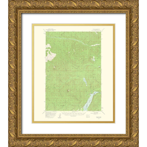 Cougar Washington Quad - USGS 1963 Gold Ornate Wood Framed Art Print with Double Matting by USGS