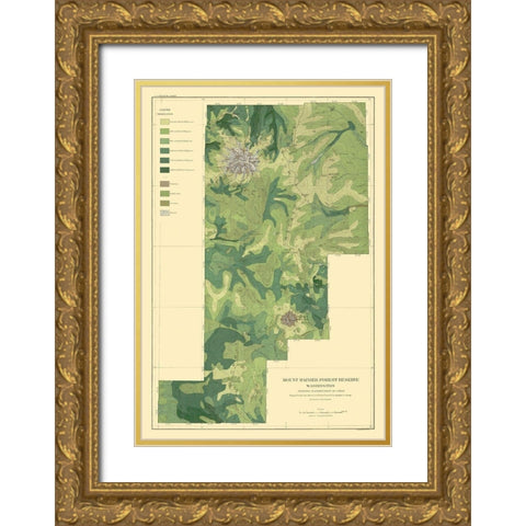Mount Rainier Forest Washington 1899 Gold Ornate Wood Framed Art Print with Double Matting by Bien