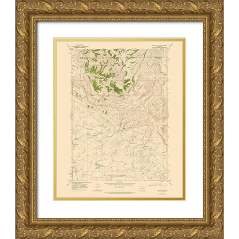 Salt Canyon Wyoming Quad - USGS 1968 Gold Ornate Wood Framed Art Print with Double Matting by USGS