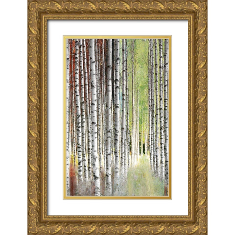 Abstract Birch II Gold Ornate Wood Framed Art Print with Double Matting by Brey