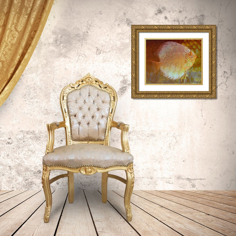 Discus I Gold Ornate Wood Framed Art Print with Double Matting by Bartola