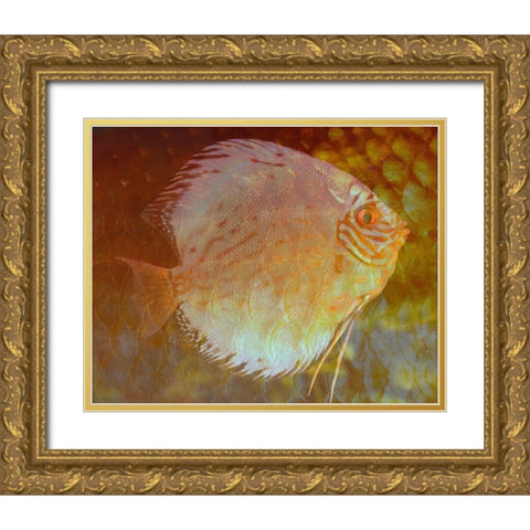 Discus I Gold Ornate Wood Framed Art Print with Double Matting by Bartola
