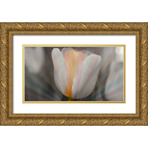 Tulip Surprise Gold Ornate Wood Framed Art Print with Double Matting by Bartola