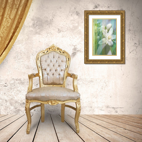 Orange Blossom Gold Ornate Wood Framed Art Print with Double Matting by Franklin