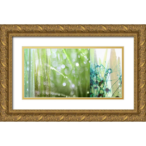 Morning Dew Gold Ornate Wood Framed Art Print with Double Matting by Franklin