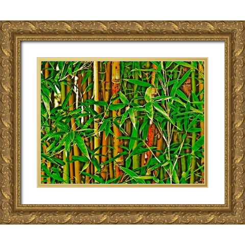 Bamboo in HD I Gold Ornate Wood Framed Art Print with Double Matting by Simons