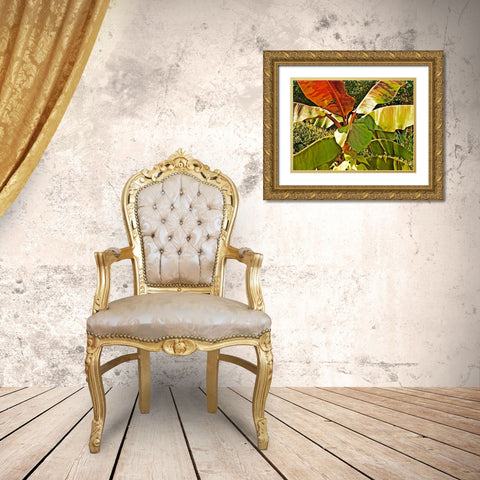 Banana Tree Gold Ornate Wood Framed Art Print with Double Matting by Simons