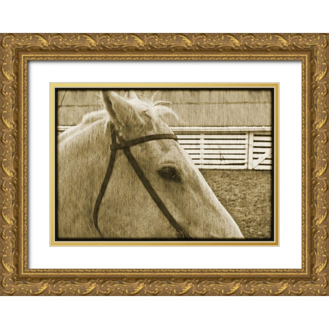Composure Gold Ornate Wood Framed Art Print with Double Matting by Simons