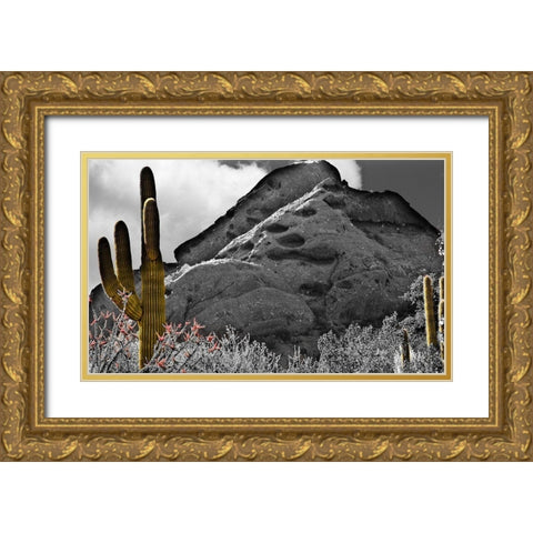 Desert View Gold Ornate Wood Framed Art Print with Double Matting by Simons