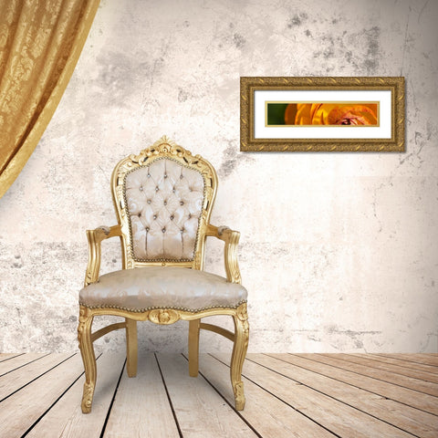Flower Slice Orange I Gold Ornate Wood Framed Art Print with Double Matting by Simons